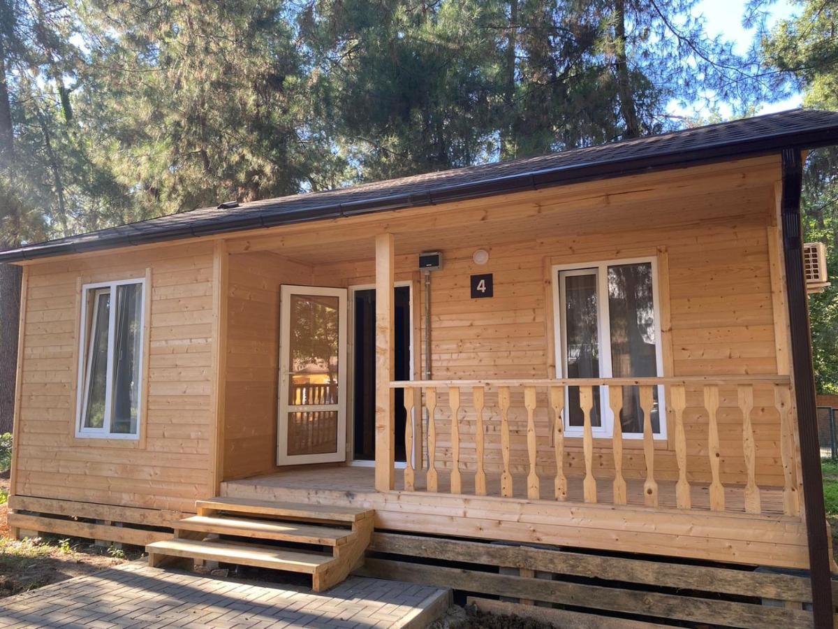 Золотые Пески Alakhadze Exterior photo